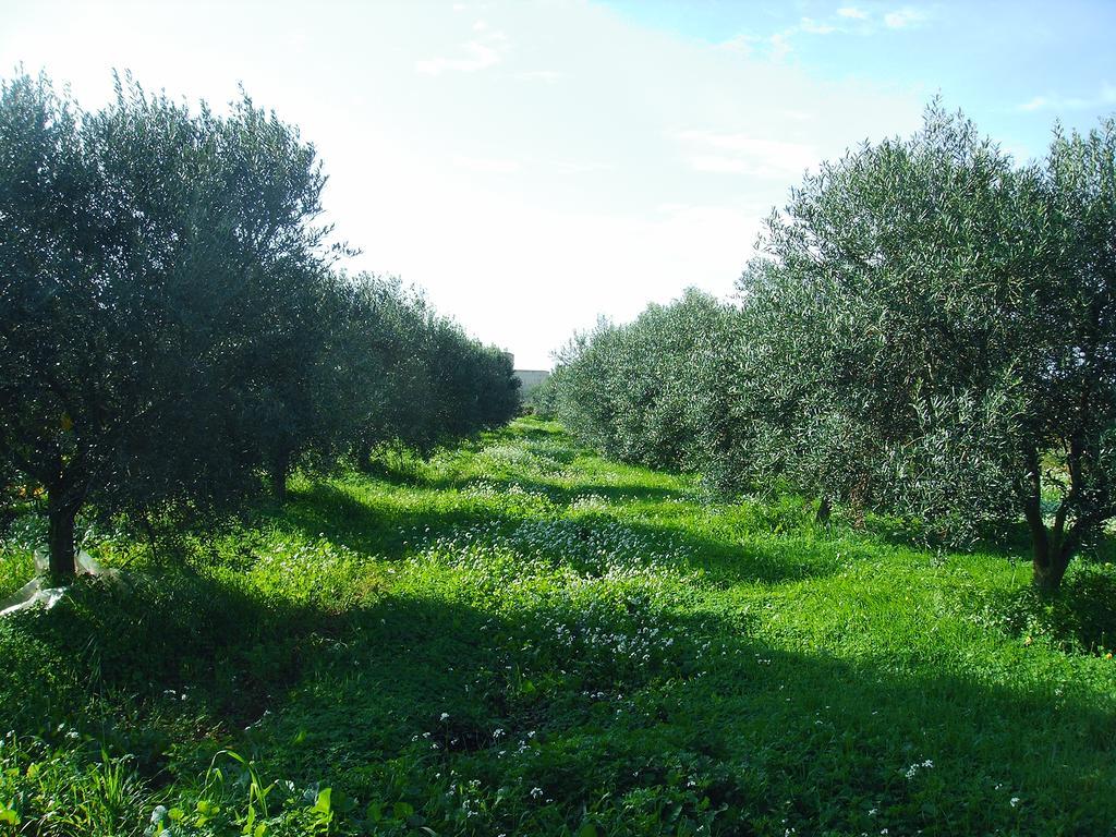Hostal Casale Stagnone Marsala Exterior foto